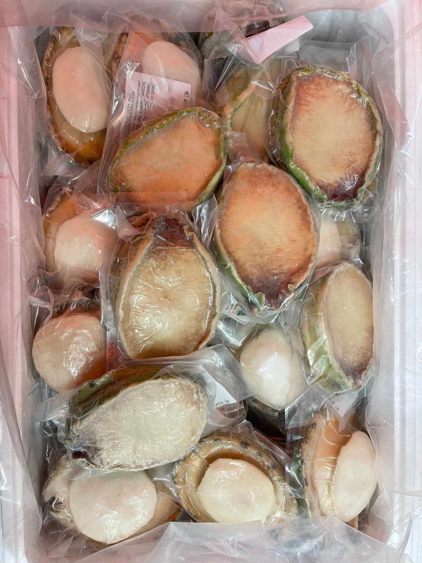 Frozen Greenlip Abalone