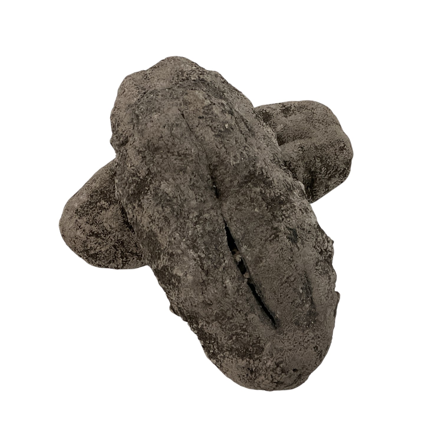Dried Sea Cucumber Black Teat Fish 黑婆參