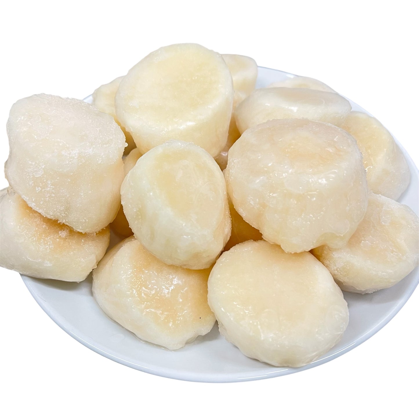 Frozen Scallops
