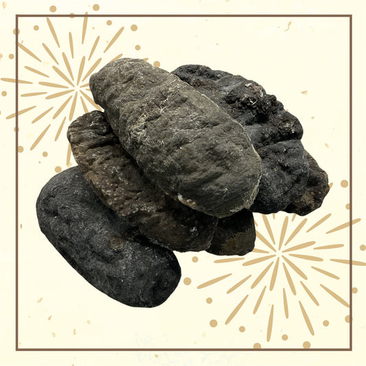 Dried Sea Cucumber Stone Fish 石參