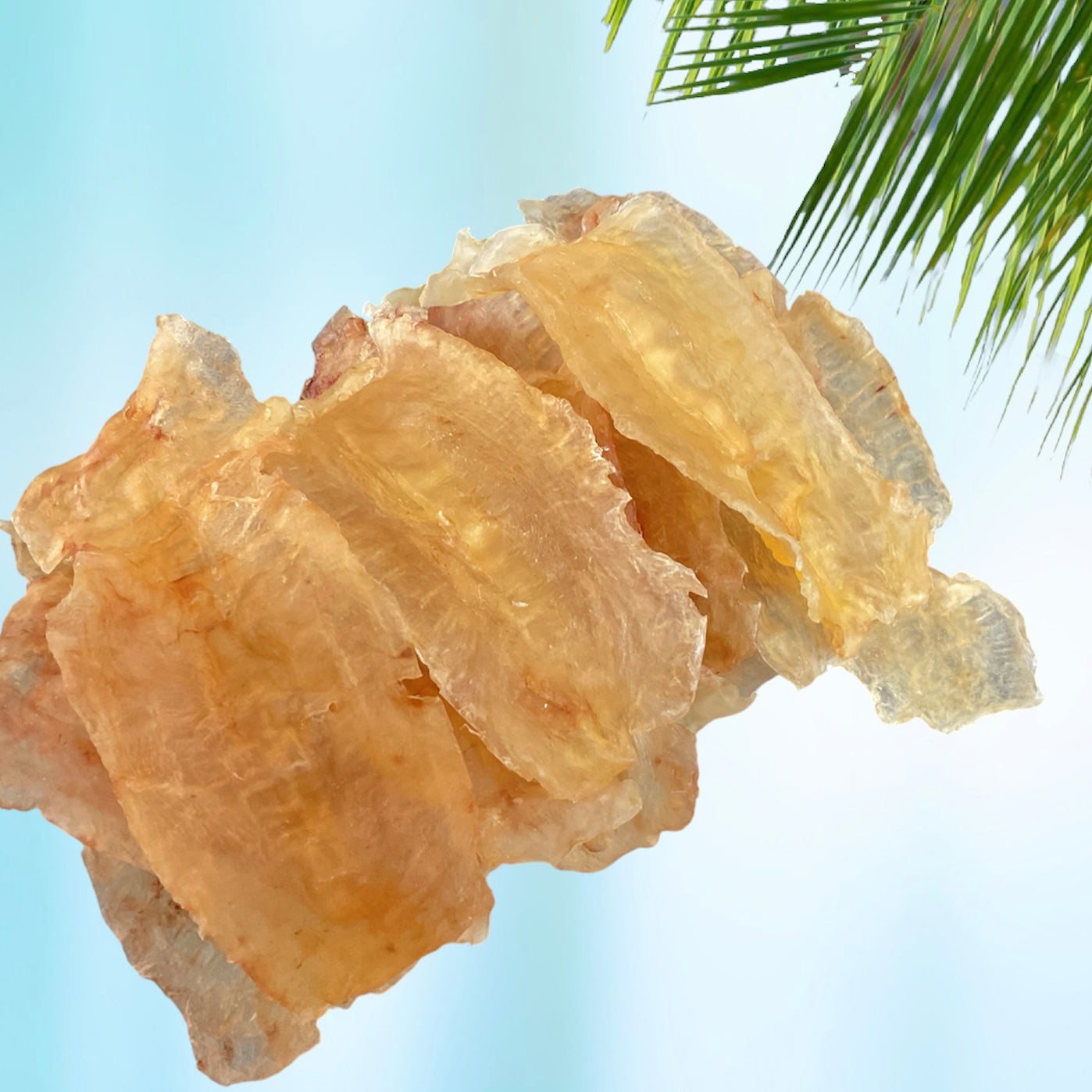 Dried Fish Maw 20/30
