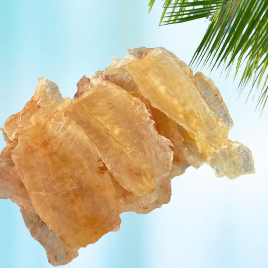 Dried Fish Maw 20/30