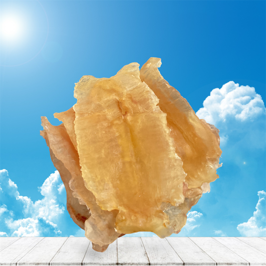 Dried Fish Maw 15/20