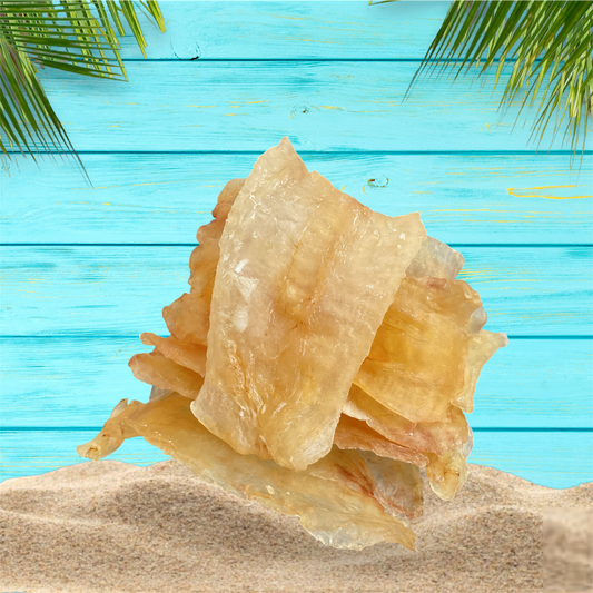 Dried Fish Maw 10/16